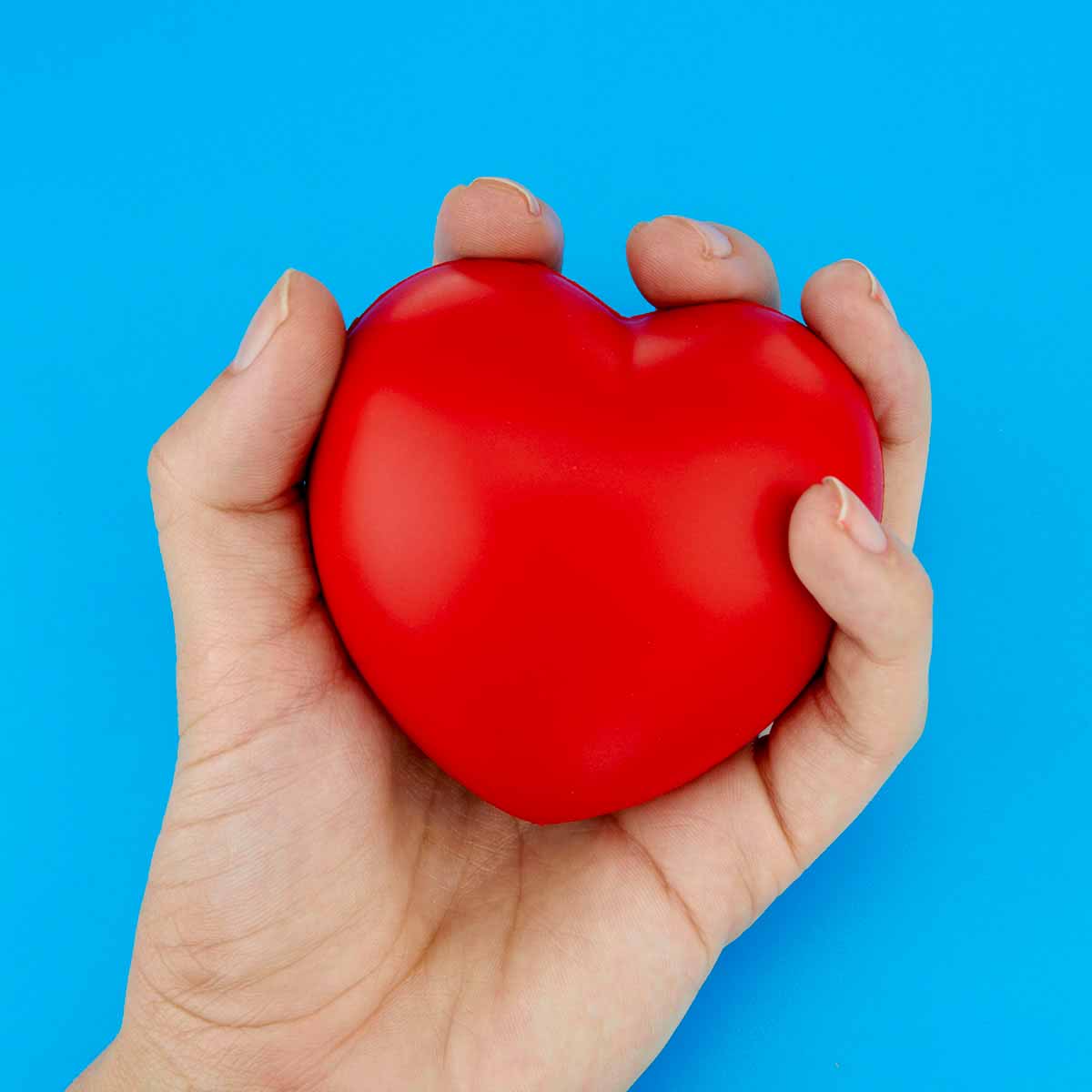 KIT THE BOLD LEADERSHIP